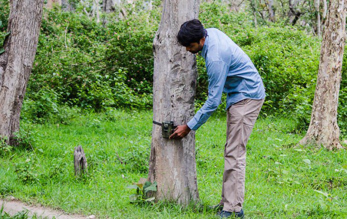 पीलीभीत टाइगर रिज़र्व की सुरक्षा को लेकर उत्तराखंड, यूपी, नेपाल साझा करेंगे सूचनाएं tigerreservepilibhit.com/security-infor…