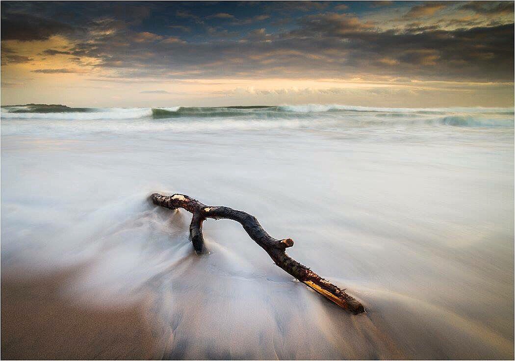 Paul Killeen Photography tweet media