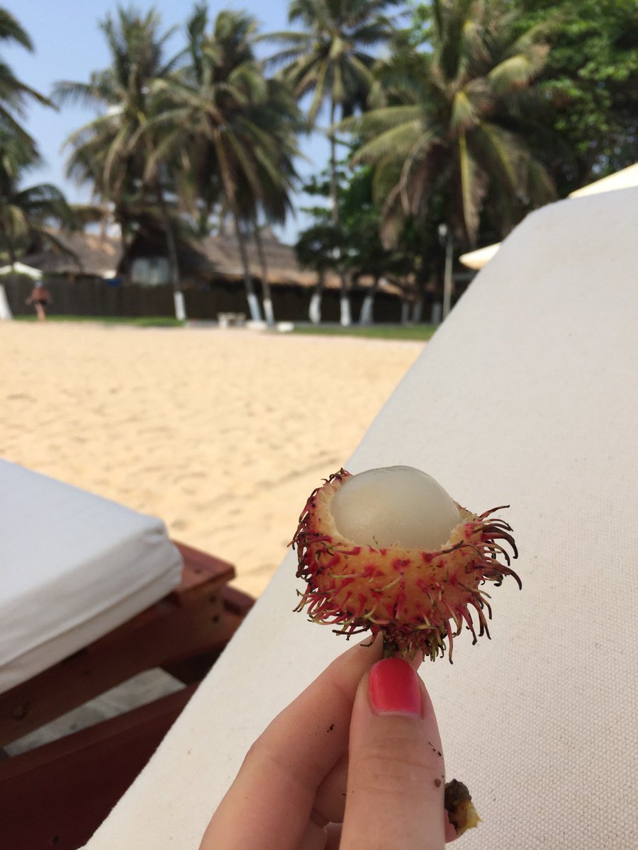 AliSoldatova's tweet photo. I'm at Bãi Biển Nha Trang (Nha Trang Beach) in Nha Trang, Khánh Hòa https://t.co/T1q23mMk1P https://t.co/gabm3NiKNl