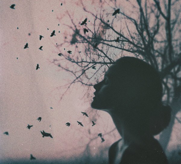 joseluisyanezme's tweet image. On Living Intentionally (a.k.a, Actually Giving a F**k About Your Life) #com1 bit.ly/1S4DRev