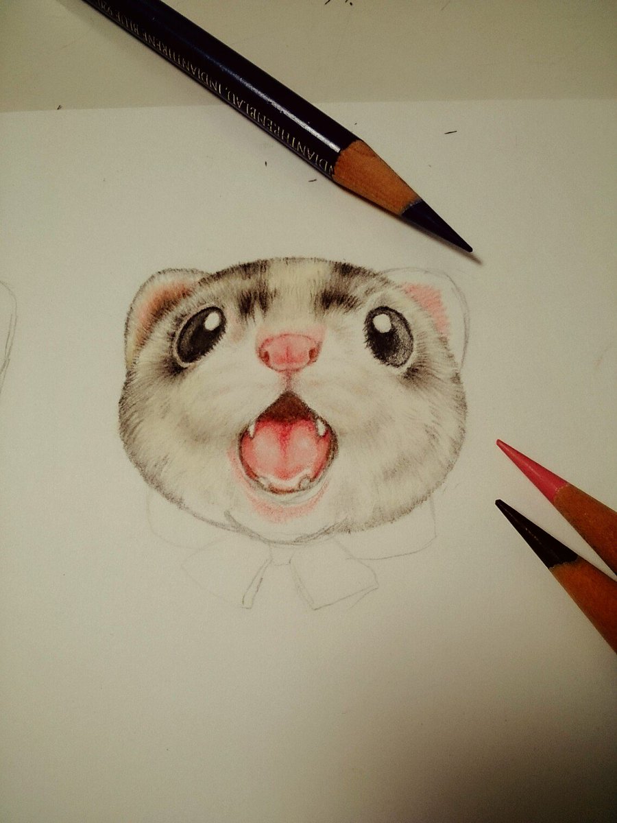 内藤惠 アトリエいたち雲 A Twitter ブレイズフェレットくん ガチ制作会 色鉛筆 Ferret T Co Qnjfi4ejbz
