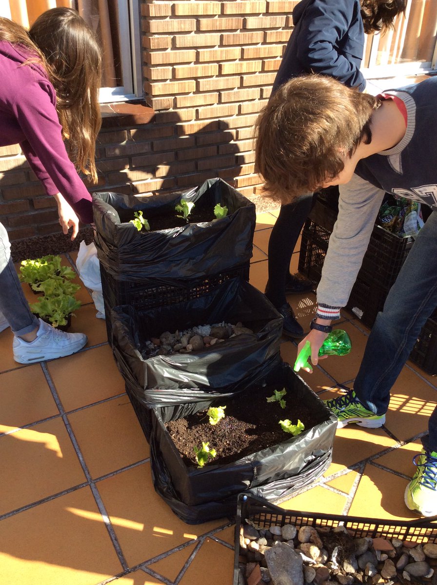 2ESOAUSEVA's tweet photo. Lunes:2ºA se encarga de los huertos.Muy buen ambiente de cooperación entre grupos 🙌 #compostelaenruta #HuertoAuseva https://t.co/WWZNuPOejv