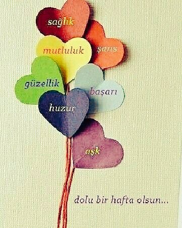 AysenBozkus tweet picture