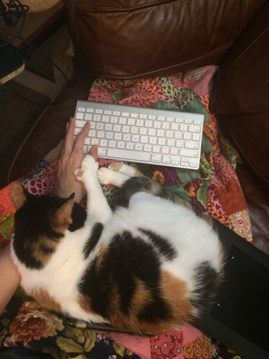 drinkyoursoup's tweet photo. #catdesk https://t.co/lu8eHuBhDi