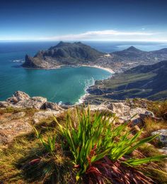 EarthisHome1's tweet photo. Looking for a passive income to help fund your travels?
https://t.co/FhbnpaC623 https://t.co/ynxyE6Cdbb