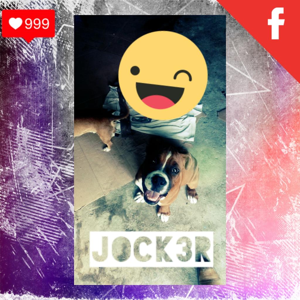 Divertidoexentr's tweet photo. Me doy joker is Happy #PerroBoxer https://t.co/OhL0VpGpCO