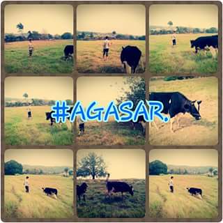 ReraCon's tweet photo. #Finca #Agasar #Hermana #Hermosa https://t.co/HCcvrX7KGg