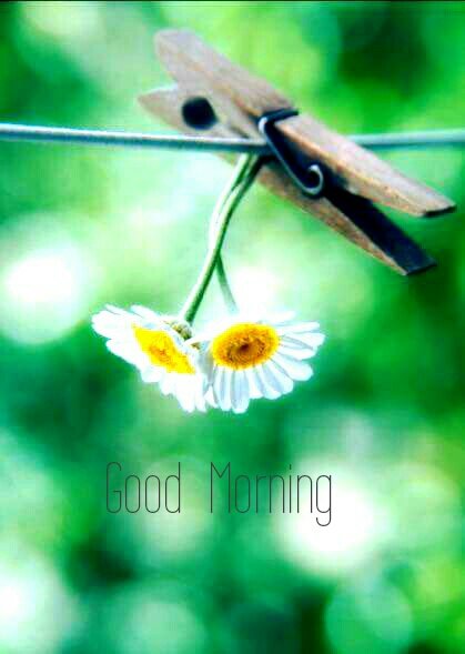 jaa_n_aah's tweet photo. #goodmorning https://t.co/q2PUv6eW9e
