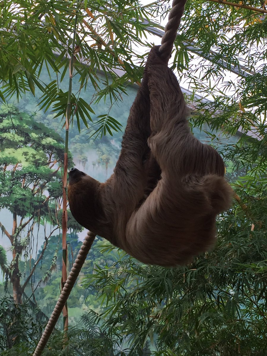 healthyfischer's tweet image. #Motivation Montag: #Visualisiere deine Ziele und lass dich nicht hängen.