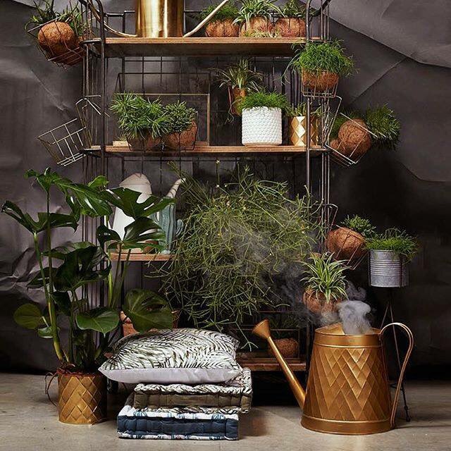 Een prachtige foto van Sissy Boy, heel gaaf, daar worden we blij van!