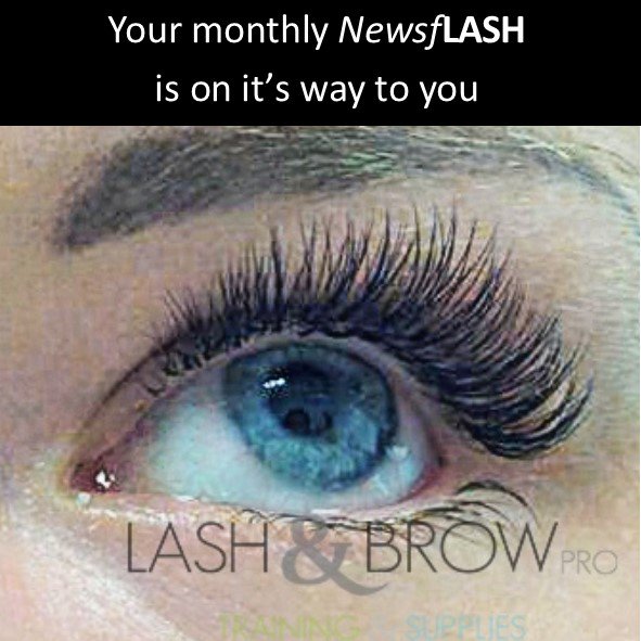 LashandBrowCo's tweet photo. Do you get a copy of Newsflash? If not register at https://t.co/rjFT3CYq7m #lashQ https://t.co/bC9ctNleSW