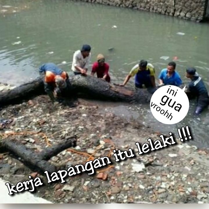 moluskha's tweet photo. @ridwankamil @dbmpkotabdg @DiskominfoBdg @bplh_kotabdg @infobdg ft 3 bln kblkng ps wkt ad phn tmbng nyngkt d bndungn https://t.co/K1rmddWap4