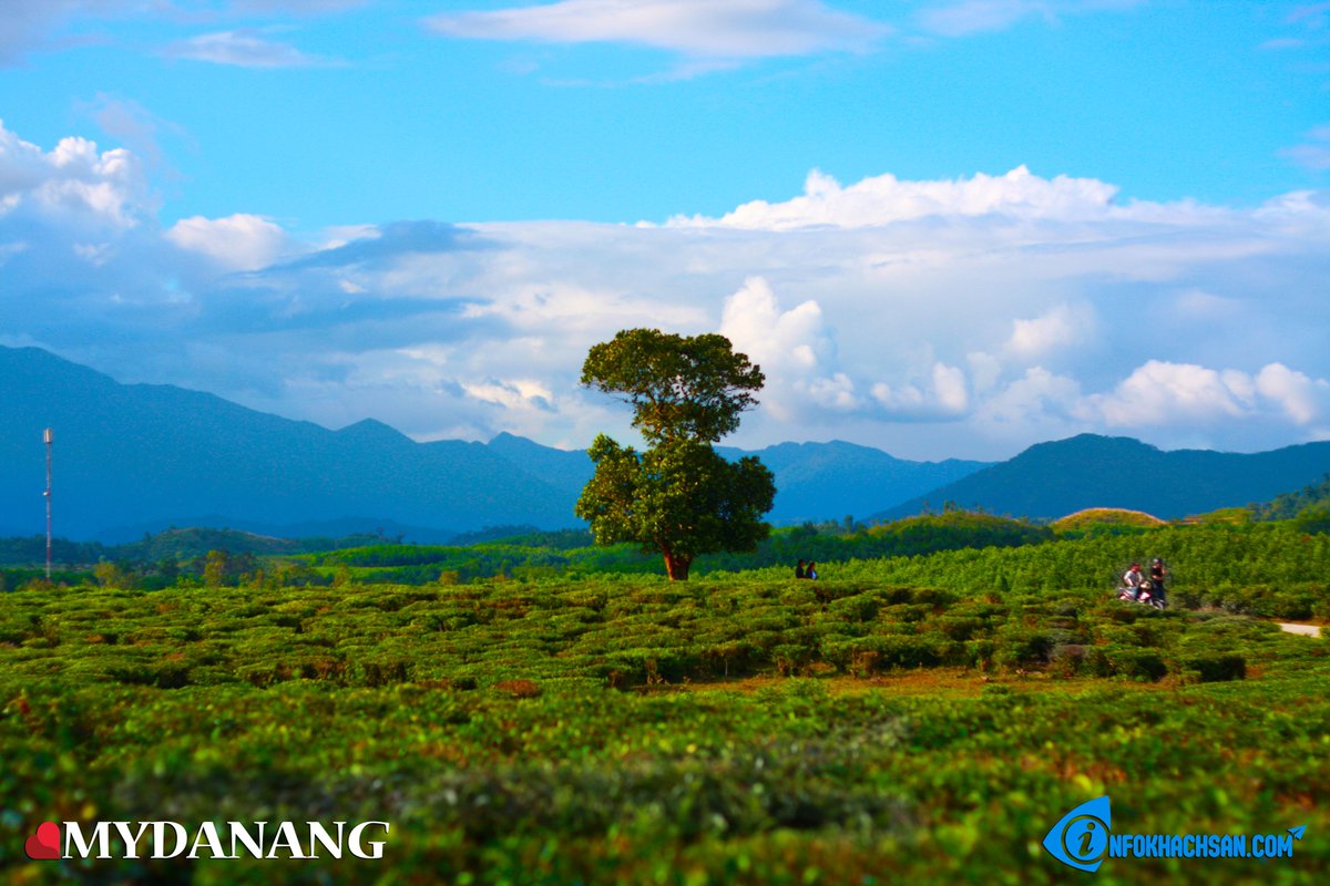 Hotels84VN's tweet photo. Khám phá đà nẵng chỉ với 300k  liên hệ đặt phòng khách sạn đà nẵng: 0935 97 09 97
#booking
https://t.co/Hu9FDmjR0c https://t.co/MuromuMMXK