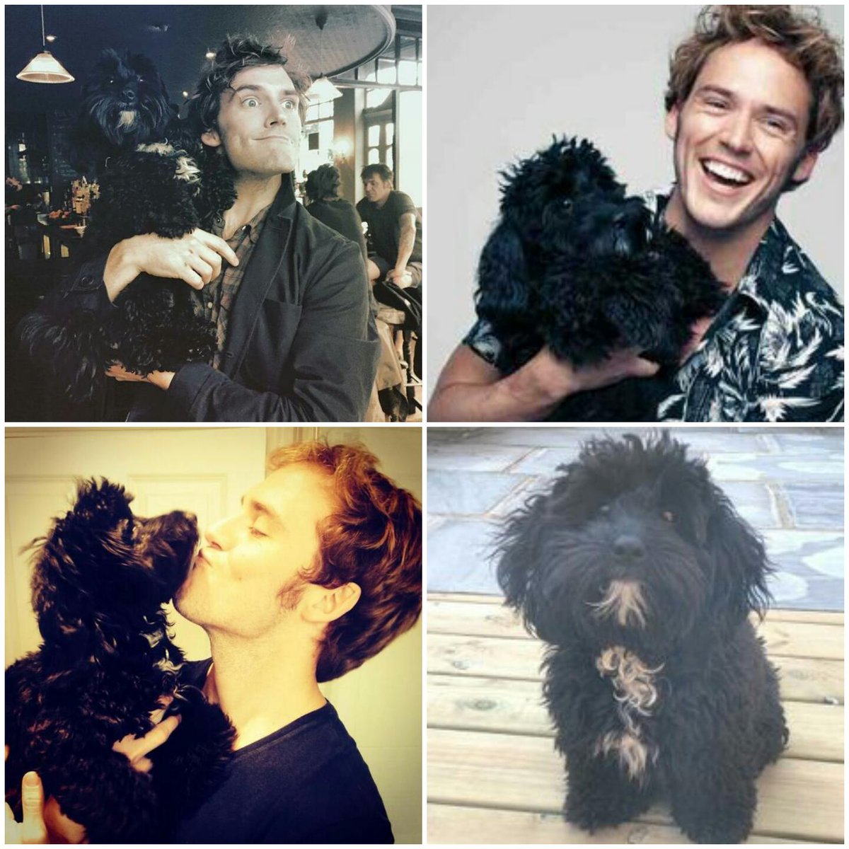 SamClaflinFans's tweet photo. Happy 3rd birthday Rosie Claflin! Hope @samclaflin &amp; @laurajhaddock get you lots of treats on your special day! 🐶❤ https://t.co/bnBcA1voVZ