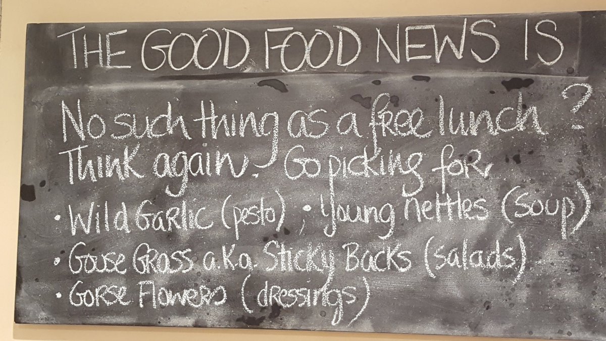 urrubandon's tweet photo. #thegoodfoodnewsis  .. some experts: @thewildirish @CForageandfind @cooking_wild @wildoonagh https://t.co/Zs2IT1jScz