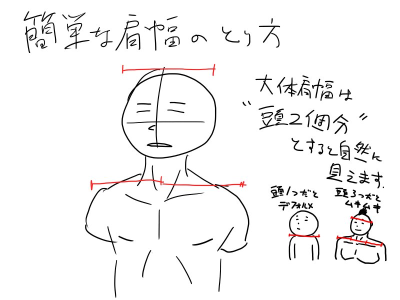 絵師ぺディア 簡単な肩幅の取り方です 自然な比率にする際は 頭2個分 にすると自然に見えます デフォルメ調にする際は頭1個分 ムキムキなキャラの場合は頭3個分くらいがちょうど良いです T Co Vmk3drcq4x