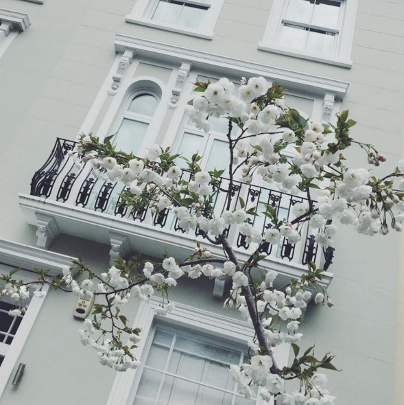 YOUhome_ldn's tweet photo. Good morning! We hope you had a great weekend and are enjoying the sunshine this morning! #LoveLondon #NottingHill https://t.co/ibID9ukyLH