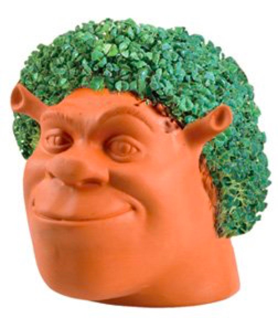 purce11's tweet photo. for fucks sake, where can a brother get a solid perm at? https://t.co/r9CH4yIkBp