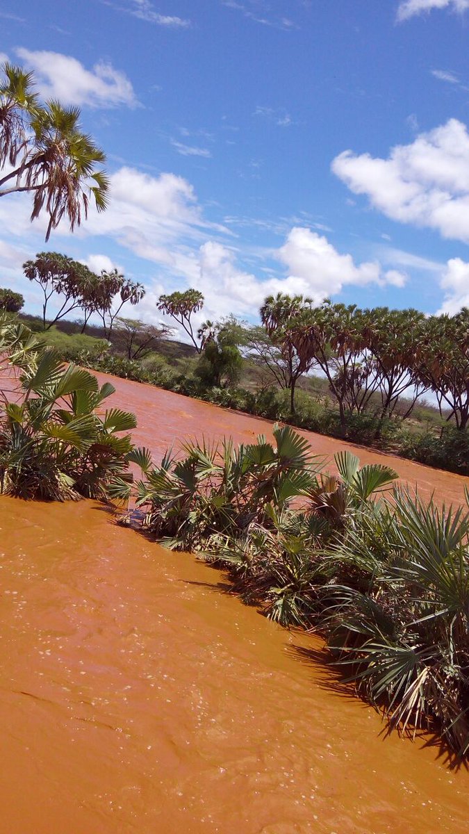 SuleimanQadid tweet media