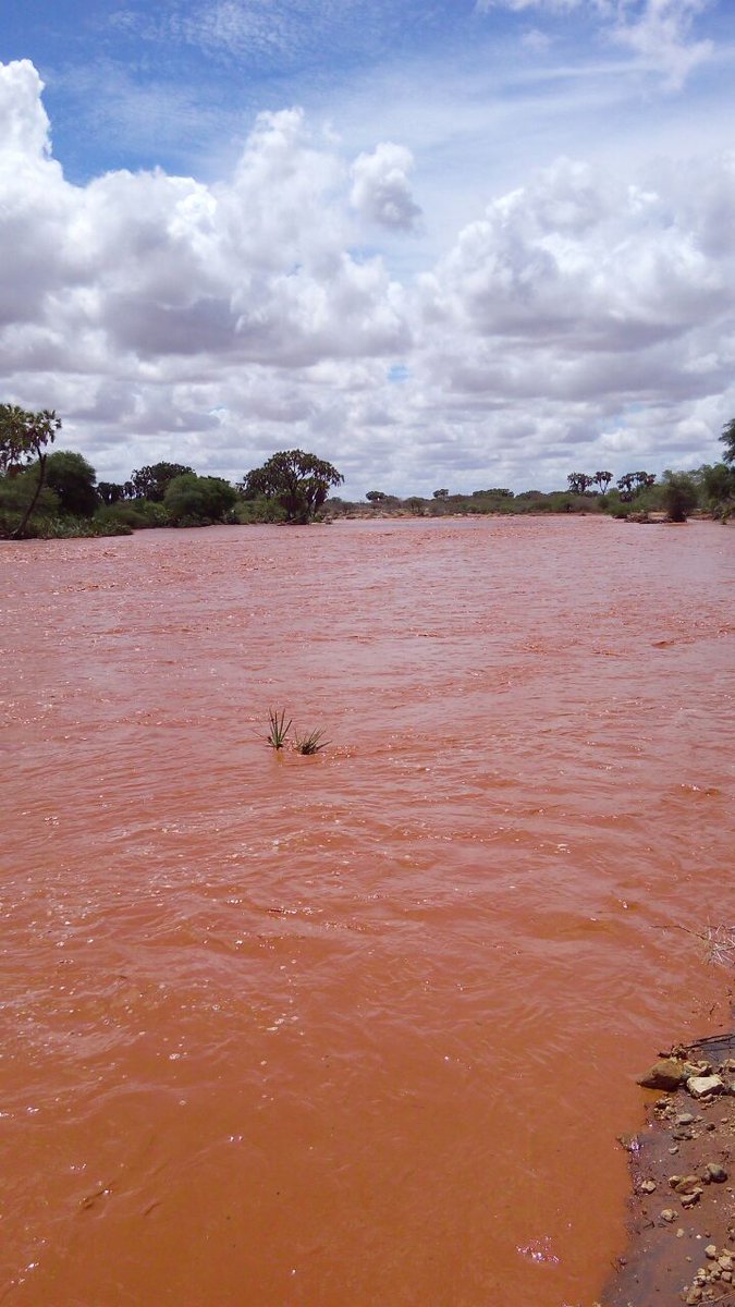 SuleimanQadid tweet media