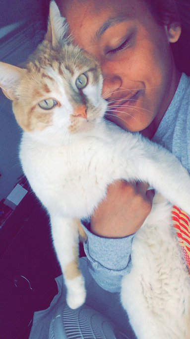 my cats are 😍 https://t.co/E9AETlOxdN<a href="/tag/newprofilepic"class="tags"><span>#newprofilepic</span></a>