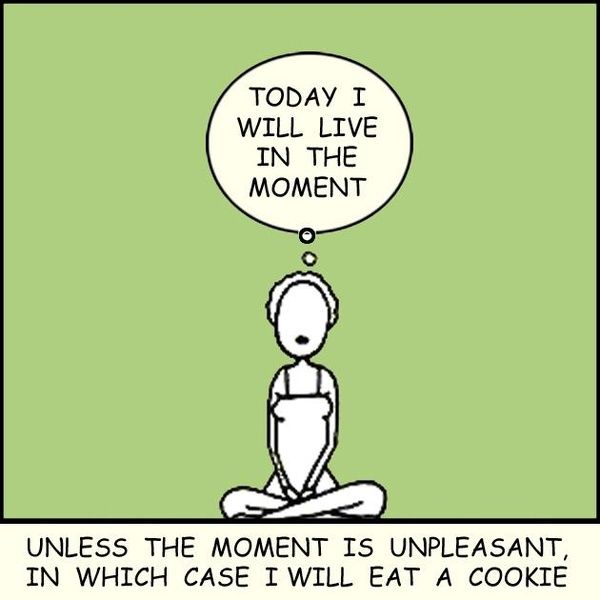 planmyplate's tweet photo. #HappyMonday #liveinthemoment https://t.co/NC2iewTUu0