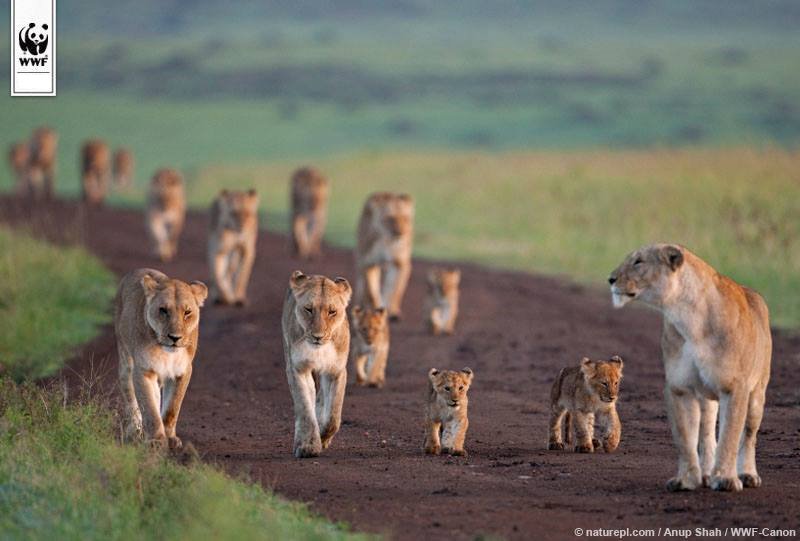 Whether you are a leader or a follower, do it with pride this #MondayMotivation