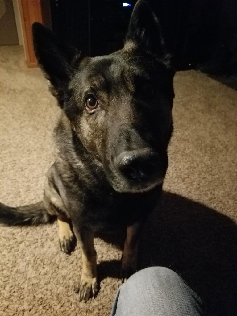 fakeDekeyser65's tweet photo. Slept like shit #DailyDiesel getting in some lovins before I go to work https://t.co/kTsfkK6k7b