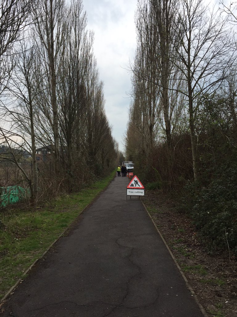 It's just disgusting that <a href="/LewesDC/">Lewes District Council</a> have allowed the beautiful avenue of trees on Blakes Walk, Malling to be cut down