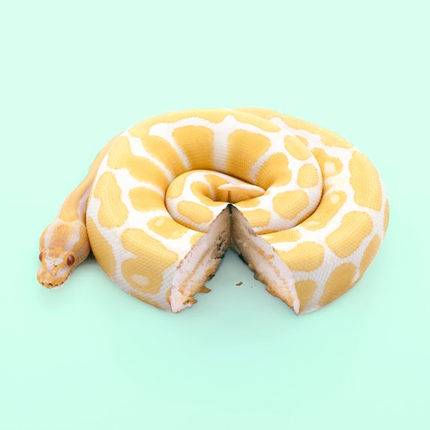 hashtagphotomag's tweet image. Playful Still Life Inspired By Pop Culture &amp;amp; Warhol bit.ly/1SYY2KZ