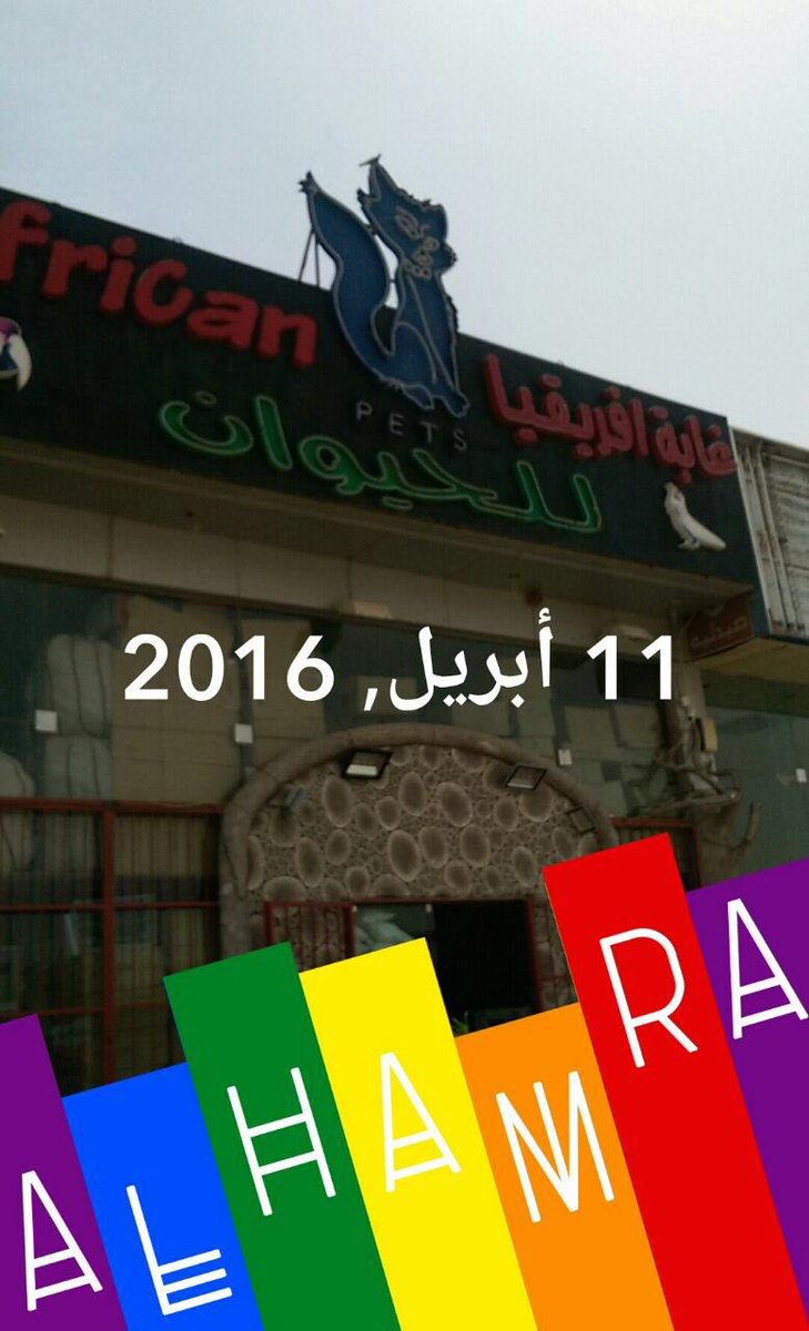 هجر On Twitter محل غابة افريقيا في الرياض محل وصخ وكئيب