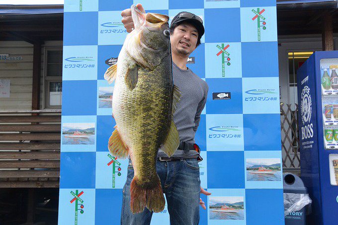 71cm 8500g 18 7lb 琵琶湖モンスター現わる ビワコマリン