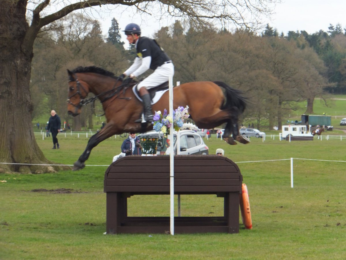 ParklaneHawk and <a href="/foxpitteventing/">Fox-Pitt Eventing</a> both fine after outing <a href="/WestonParkHT/">Plant A Fence Events</a> fb.me/5RODGkZjE