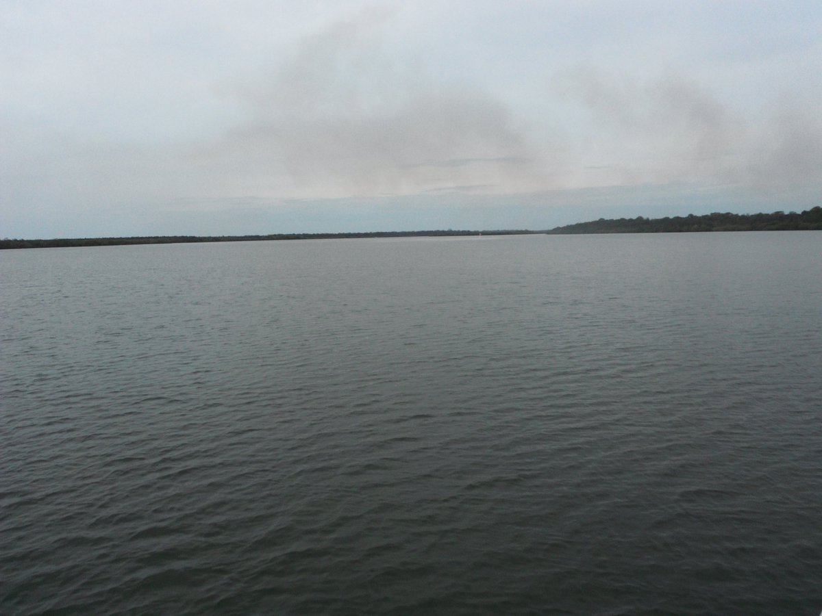 nickbyron60's tweet image. Connect to Your Creek Week thanks #SunshineCoastCouncil #VisitSunshineCoast #UnityWater &amp;amp; partners