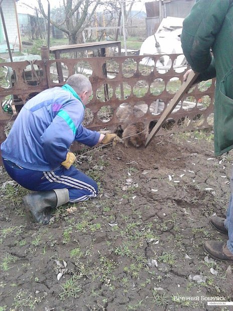 Вакансии в бобруйске на сегодня бобр бай