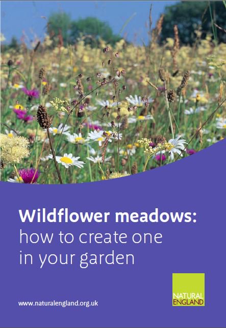 NaturalEngland's tweet photo. Could you spare a corner of your garden to create a wildflower meadow? Practical guide #NGW https://t.co/TbsQxF5qe1 https://t.co/1ktKab8FCh