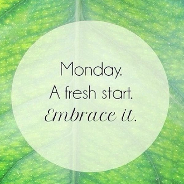 riipeapp's tweet photo. A new week, a fresh start.  Happy Monday everyone! #MondayMotivation https://t.co/83zoY5qGzV