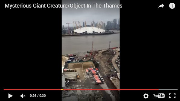 963bigfm's tweet image. R&amp;amp;J: Two new videos of the #LockNessMonster? Do you believe? bit.ly/1N3Kgrr