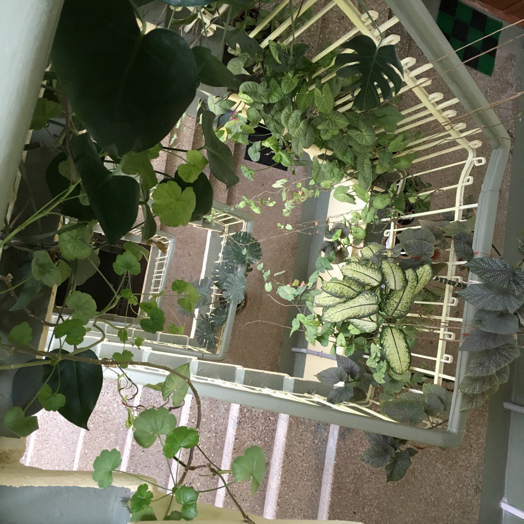 Аникина Наталья (@AnikinaNatalia) | Twitter