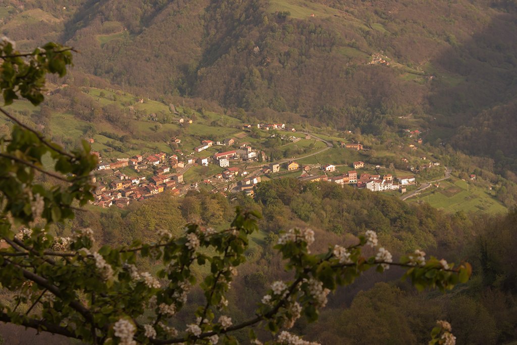 Beryllos_Gijon's tweet image. #LaHoraDeLasAmigas11 #Sabíasque existe un pueblo en #Asturias llamado #Urbiés famoso por su queso.