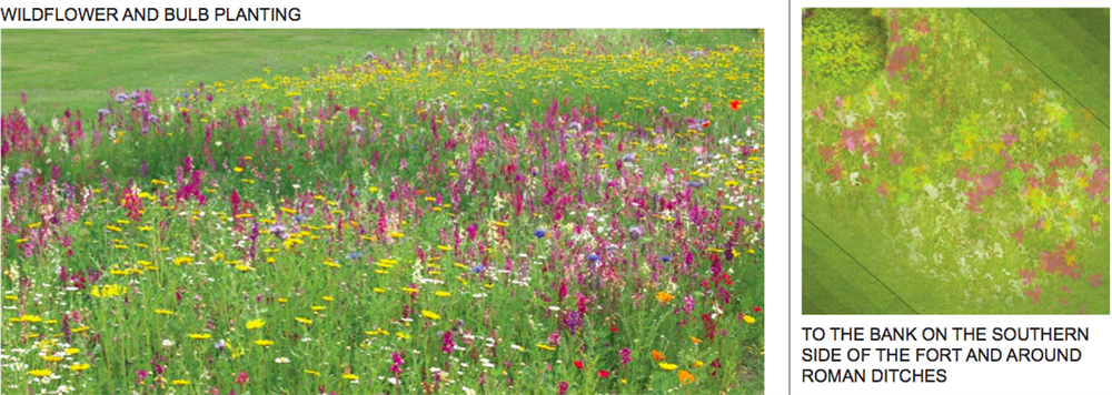OurMcrCrowdfund's tweet photo. Whalley Rangers @WhalleyRanger1 crowdfunded #MakeMCR for community gardening. Want to flower up your area? Tell us! https://t.co/MXK9RCuG4I