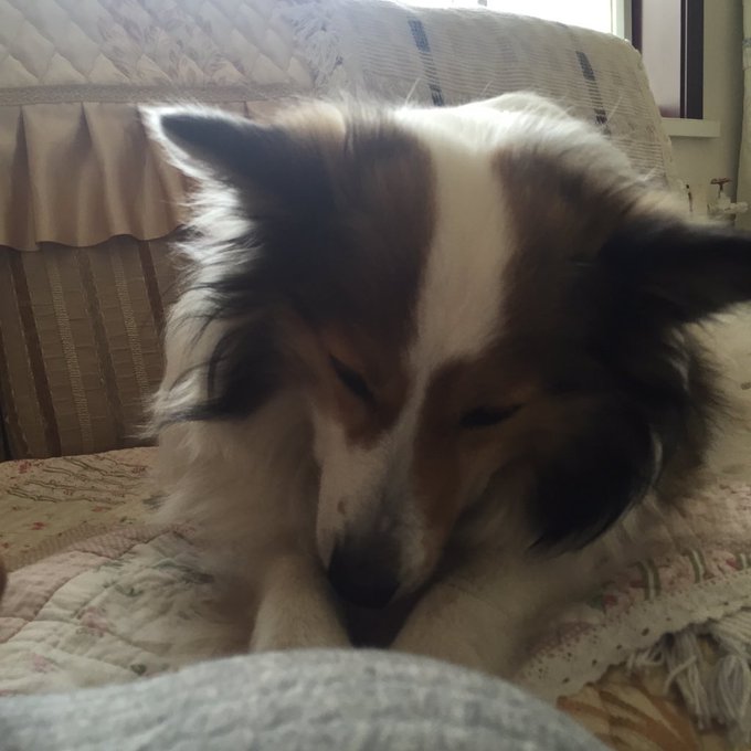 Twitterのコスプレ画像62