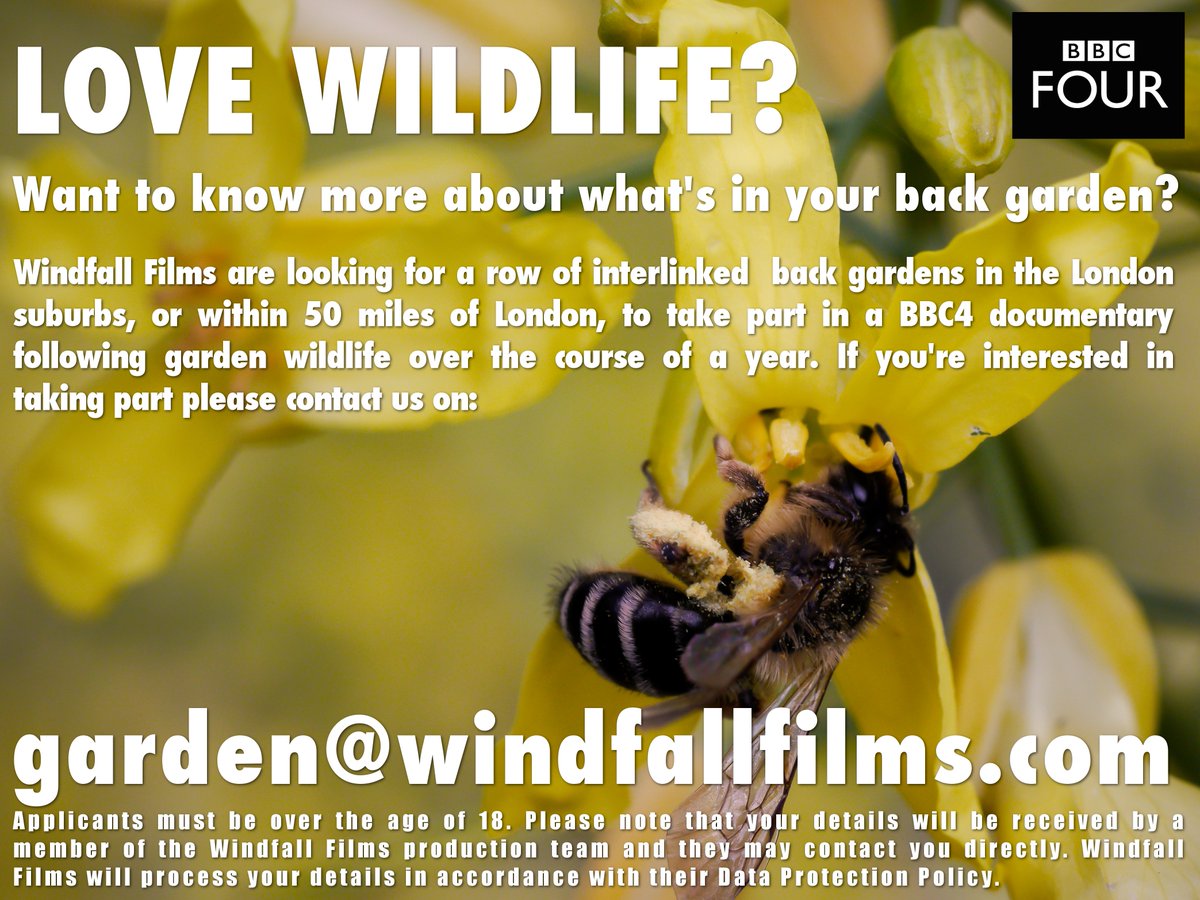 Looking for Gardens for a new BBC Wildlife Doc! Pls RT @Team4Nature300 @WildLondon <a href="/NatureUK/">NatureUK</a> <a href="/LondonNPC/">London National Park City*</a>