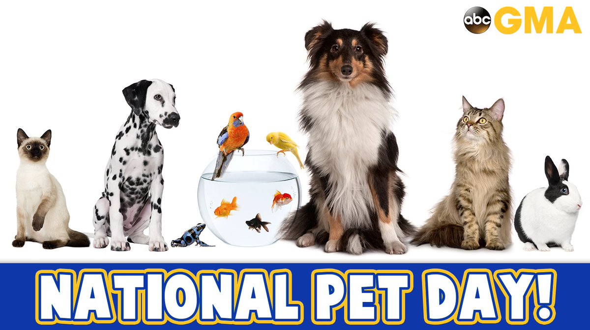 GMA's tweet photo. Happy #NationalPetDay! 🐶 🐱 🐰 🐸 🐠 🐤 https://t.co/soUBg8RNvA