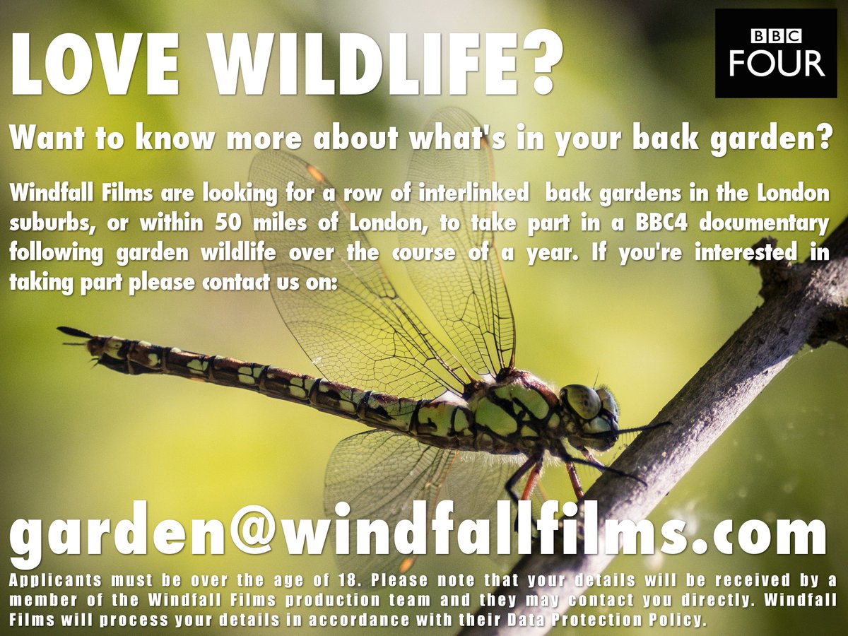 @wildlondon_SHW Hi there! Any chance of a RT? Many thanks!