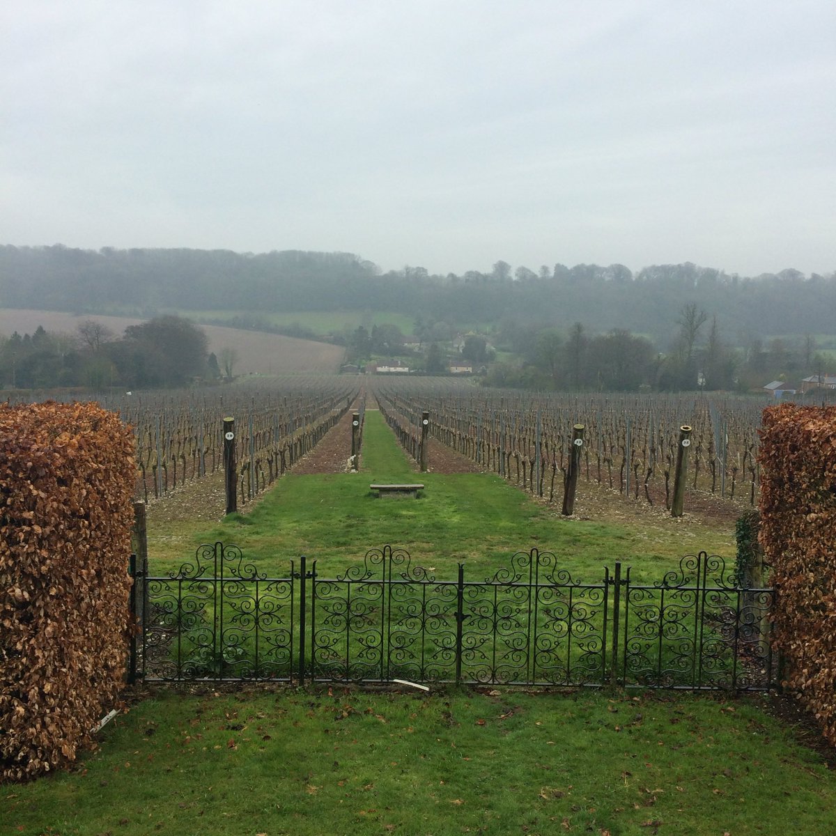 littlebedwyn's tweet image. Thank you Ian Kellet @Hambledonwine for a fascinating explanation on the perfect bubble @provencom @GlassOfBubbly