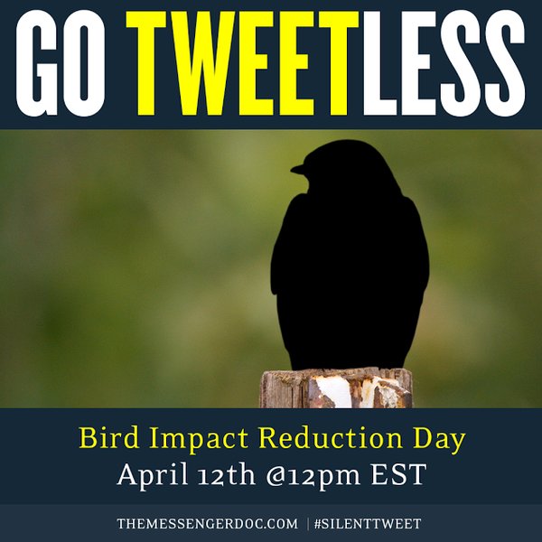 CWF_FCF's tweet photo. We're going silent for 1 hour tomorrow in honour of Bird Impact Reduction Day. https://t.co/yoawESttWR #silenttweet https://t.co/U4aNZa0yoK
