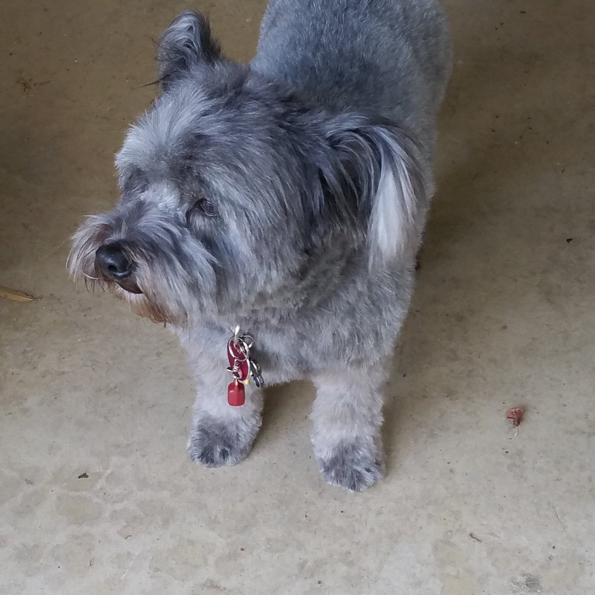 Allen Rudolph (@allen_rudolph) | Twitter