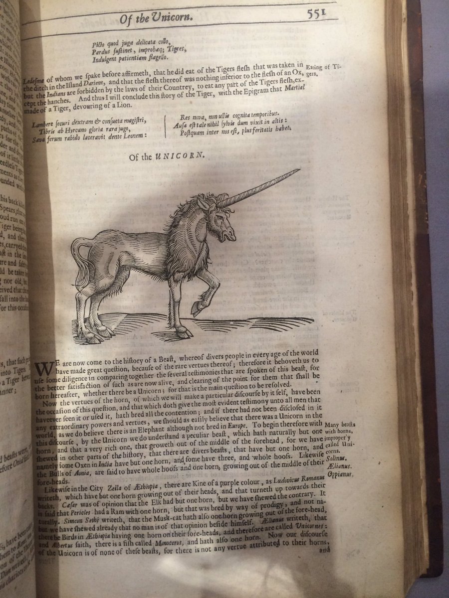 LyndsayyG's tweet photo. And a unicorn too! @ObjectFocus https://t.co/sONRAvxSl6