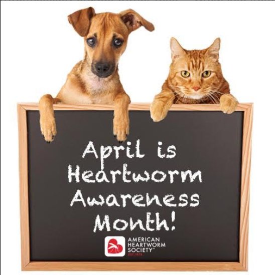 April is #NationalHeartwormAwarenessMonth. Protect your pets. Our Comm Practice can help. bit.ly/1fLySMH